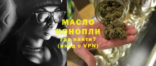 дживик Богородицк