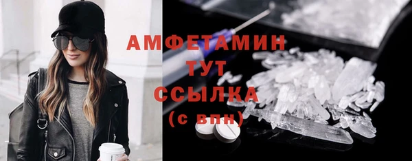 дживик Богородицк