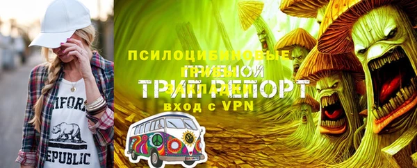 дживик Богородицк
