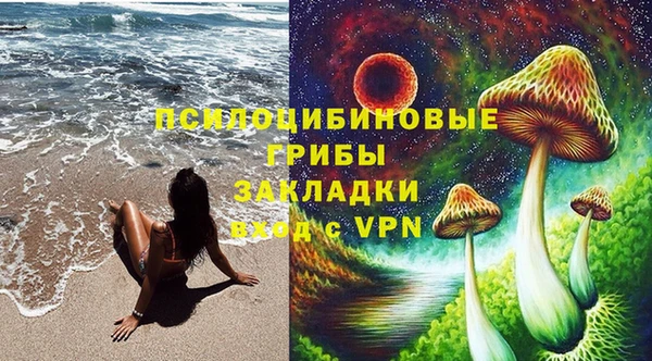 стафф Богородск