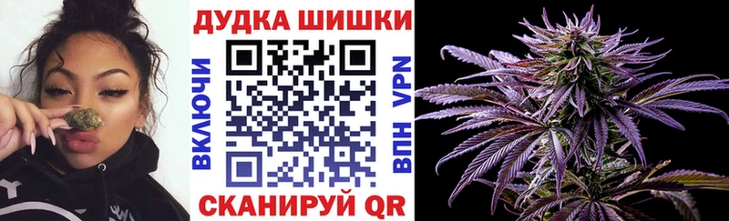 МАРИХУАНА ГИДРОПОН Набережные Челны